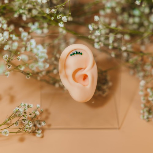 Tytanowy srebrny labret z zieloną koroną