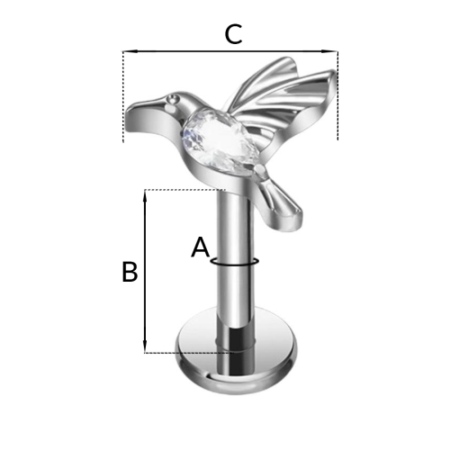 Przykładowy_Labret_rozstawienie kopia.png