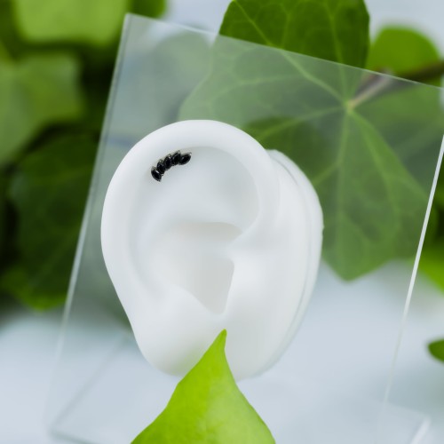 Kolczyk PIERCING SREBRNY labret z pięcioma cyrkoniami czarnymi