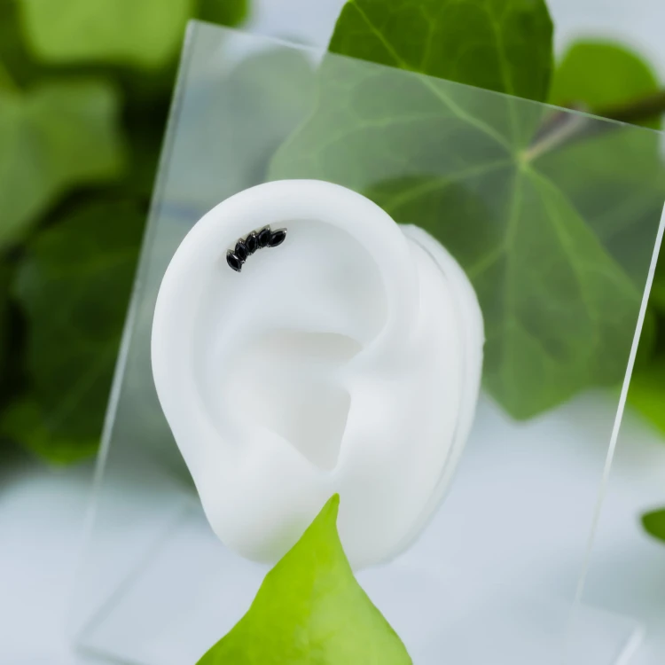 Kolczyk PIERCING SREBRNY labret z pięcioma cyrkoniami czarnymi