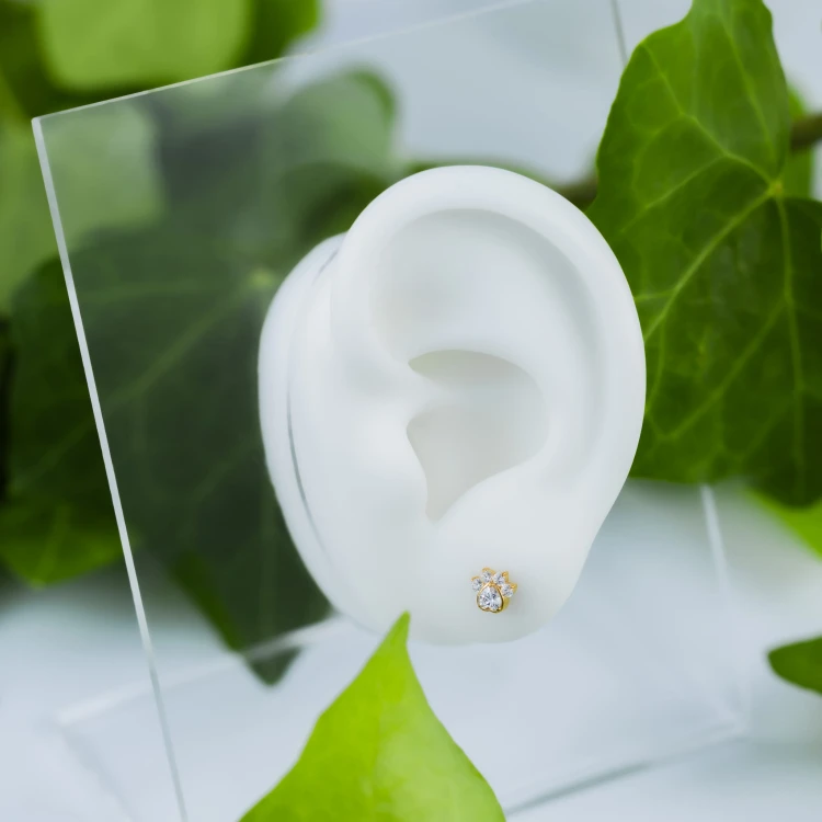 Tytanowy ZŁOTY labret kocia łapka