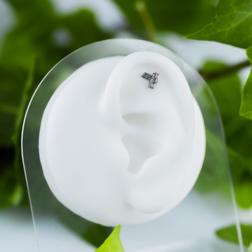 Tytanowy labret z motywem jaskółki