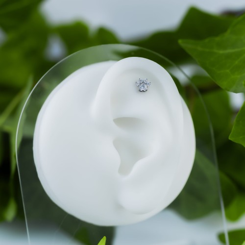 Tytanowy labret kocia łapka