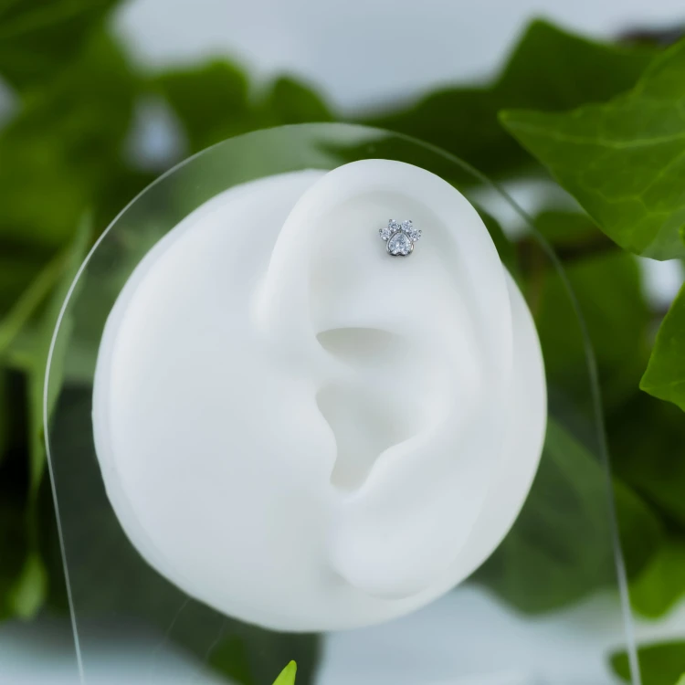 Tytanowy labret kocia łapka