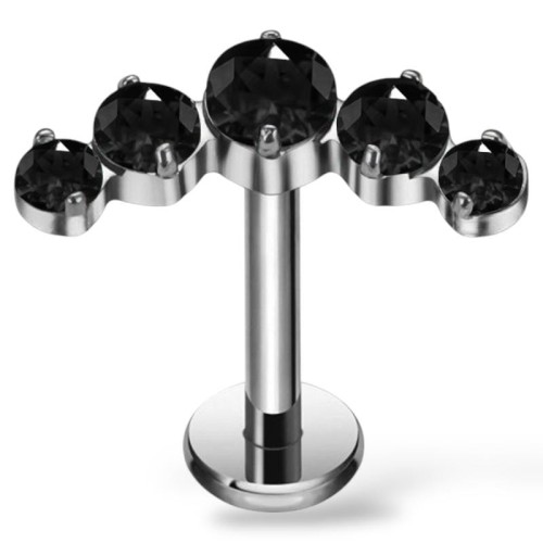 Tytanowy srebrny labret z czarną koroną